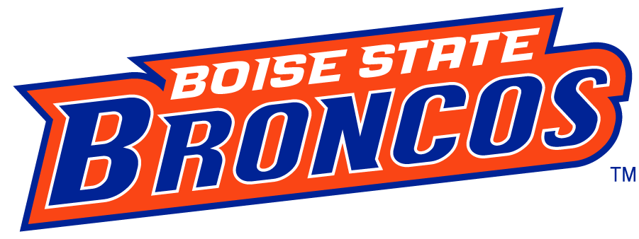 Boise State Broncos 2002-2012 Wordmark Logo v6 iron on transfers for T-shirts